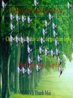 Slide ôn tập làm văn miêu tả con vật