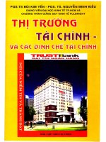 Thị trường tài chính và các định chế tài chính (Lý thuyết và thực hành ứng dụng cho thị trường Việt Nam)