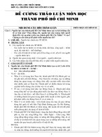 Đề cương thảo luận môn học Thành phố Hồ Chí Minh