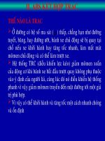 hệ thống chống trượt trên ô tô