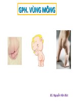 giải pháp phẫu thuật vùng mông