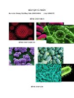 bài tập vi sinh thực phẩm