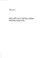 Nghiên cứu xây dựng Panel Lympho và bộ sinh phẩm chẩn đoán kháng nguyên hòa hợp mô phục vụ phẩu thuật ghép cơ quan, ghép mô (phụ lục )