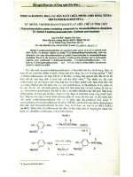 Thiocacbamoyl hóa các dẫn xuất chữa nhóm amin bằng tetra- Metylthiuram disunfua