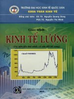 Giáo trình Kinh tế lượng