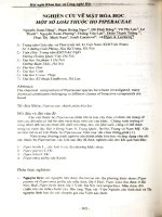 Nghiên cứu về mặt hóa học một số loài thuộc họ Piperaceae