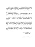 Nghiên cứu hiện trạng xói cục bộ sau các cống vùng triều của tỉnh nghệ an và các giải pháp khắc phục