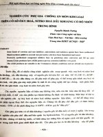 Nghiên cứu phụ gia chống ăn mòn kim loại trên cơ sở oxy hóa, Nitro hóa dầu khoáng có độ nhớt trung bình
