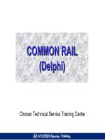 tài liệu common rail delphi