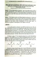 Tổng hợp Rhunchophorol trên chất mang rắn Silica Gel