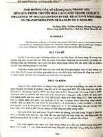 Ảnh hưởng của tỷ lệ Si02 Al203 trong gel đến quá trình chuyển hóa cao lanh thành Zeolit X Influence of Si02 Al203 ratios in Gel- Reactant Mixtures on tranformation of kaolin to X Zeolite