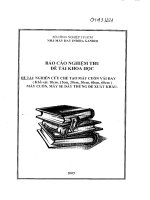 Nghiên cứu chế tạo máy cuốn vải đay (khổ vải 10cm, 15cm, 20cm,30cm,40cm,60cm) máy cuốn dây thừng xuất khẩu