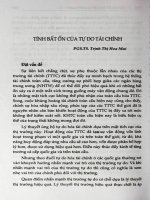 Tính bất ổn của tự do tài chính