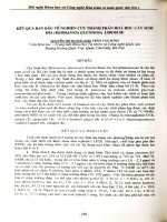 Kết quả ban đầu về nghiên cứu thành phần hóa học cây sinh địa (Rehmannia Glutinosa Libosch