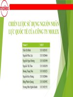 CHIẾN LƯỢC SỬ DỤNG NGUỒN NHÂN LỰC QUỐC TẾ CỦA CÔNG TY MOLEX