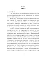 Luận văn Nghiên cứu tuyển chọn tổ hợp lai cà chua