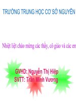 Giáo án sinh học lớp 7 Tiết 52 thao giảng thi giáo án điện tử Đa dạng của lớp thú Bộ ăn sâu bọ, bộ gặm nhấm, bộ ăn thịt (2)