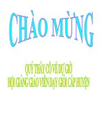 Giáo án sinh học lớp 7 Tiết 52 thao giảng thi giáo án điện tử Đa dạng của lớp thú Bộ ăn sâu bọ, bộ gặm nhấm, bộ ăn thịt (25)