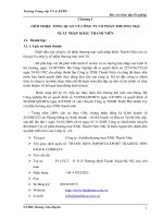 Báo cáo tại Công ty cổ phần thương mại XNK Thanh Niên