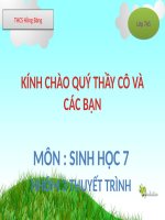 Giáo án sinh học lớp 7 Tiết 52 thao giảng thi giáo án điện tử Đa dạng của lớp thú Bộ ăn sâu bọ, bộ gặm nhấm, bộ ăn thịt (1)