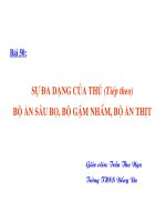 Giáo án sinh học lớp 7 Tiết 52 thao giảng thi giáo án điện tử Đa dạng của lớp thú Bộ ăn sâu bọ, bộ gặm nhấm, bộ ăn thịt (28)