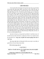 Tiểu luận luật kinh tế chuyên nghành: Công cuộc cổ phần hóa doanh nghiệp nhà nước ở Việt Nam