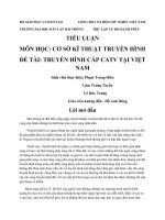 TIỂU LUẬN MÔN HỌC CƠ SỞ KĨ THUẬT TRUYỀN HÌNH ĐỀ TÀI TRUYỀN HÌNH CÁP CATV TẠI VIỆTNAM