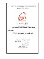 TIỂU LUẬN Ánh xạ khối Block MATCHING về xử lý âm thanh và hình ảnh