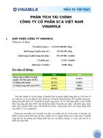 tiểu luận phân tích tài chính công ty cổ phần sữa vietnam vinamilk
