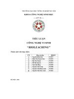 TIỂU LUẬN CÔNG NGHỆ VI SINH BIOLEACHING