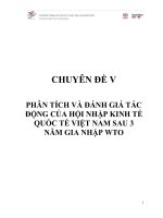 PHÂN TÍCH VÀ ĐÁNH GIÁ TÁC ĐỘNG CỦA HỘI NHẬP KINH TẾ QUỐC TẾ VIỆT NAM SAU 3 NĂM GIA NHẬP WTO