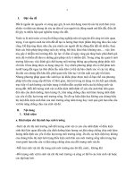 Tiểu Luận Chỉ Thị Sinh Học Môi Trường