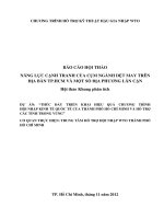 DỰ ÁN THÚC ĐẨY TRIỂN KHAI HIỆU QUẢ CHƯƠNG TRÌNH HỘI NHẬP KINH TẾ QUỐC TẾ CỦA THÀNH PHỐ HỒ CHÍ MINH VÀ HỖ TRỢ CÁC TỈNH TRONG VÙNG