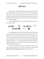 TỔNG HỢP HỮU CƠ PHA RẮN TIỂU LUẬN CẦU NỐI BỊ CẮT ĐỨT BẰNG ACID YẾU