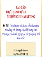 Đề Tài: “nghiên cứu mô tả nhu cầu của người tiêu dùng với thương hiệu thời trang blue exchange, để doanh nghiệp có các giải pháp kinh doanh tốt”