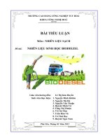 BÀI TIỂU LUẬN Môn  NHIÊN LIỆU SẠCH Đề tài  NHIÊN LIỆU SINH HỌC BIODIEZEL