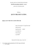 ĐỀ TÀI QUẢN TRỊ CHẤT LƯỢNG ĐỒNG BỘ