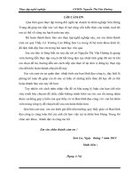 Thực trạng và giải pháp nhằm hoàn thiện công tác kế toán tài sản cố định tại doanh nghiệp tư nhân sơn hưng trung