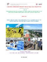 BÁO CÁO THỰC TRẠNG VIỆC LÀM, ĐỜI SỐNG CỦA LAO ĐỘNG DI CƯ TỪ NÔNG THÔN RA THÀNH THỊ VÀ KHU CÔNG NGHIỆP