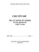 chuyên đề địa lý kinh tế xã hội vùng kinh tế việt nam
