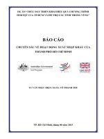 BÁO CÁO CHUYÊN SÂU VỀ HOẠT ĐỘNG XUẤT NHẬP KHẨU CỦA THÀNH PHỐ HỒ CHÍ MINH