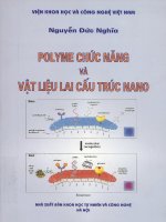 polyme chức năng và vật liệu lai cấu trúc nano