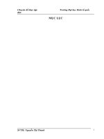 Hoàn thiện kế toán chi phí sản xuất và tính giá thành sản phẩm tại Công ty TNHH Điện Tử Việt Mỹ