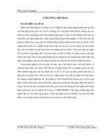 quy trình vận dụng thủ tục phân tích trong kiểm toán báo cáo tài chính tại Công ty TNHH KPMG Việt Nam