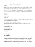 Giới thiệu chung về các hình thức trợ cấp dành cho nguời lao động trên thế giới và so sánh với các hình thức này ở việt nam