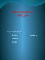 tiểu luận mạng nơ ron nhân tạo và ứng dụng