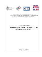 BÁO CÁO CHUYÊN ĐỀ ĐÁNH GIÁ ĐỊNH LƯỢNG TÁC ĐỘNG CỦA HỘI NHẬP KINH TẾ QUỐC TẾ
