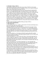 CHIẾN LƯỢC KINH DOANH CỦA UNILEVER CHO  SẢN PHẨM OMO