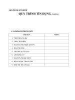 BÀI TIỂU LUẬN QUY TRÌNH TÍN DỤNG