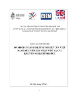 BÁO CÁO CHUYÊN ĐỀ ĐÁNH GIÁ NGÀNH DỊCH VỤ NGHIỆP CỦA VIỆT NAM SAU 5 NĂM GIA NHẬP WTO VÀ CÁC KHUYẾN NGHỊ CHÍNH SÁCH
